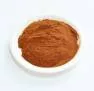 Сухой экстракт чая черного - полифенолы 30% (лат. Camellia sinensis L.)